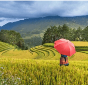 Du lịch sapa – moana – fansipan- bản cát cát