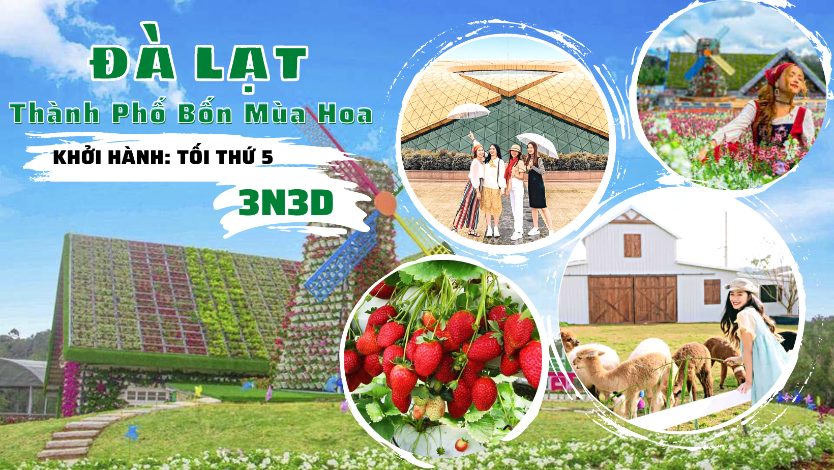 ẢNH BÌA ĐÀ LẠT 3N3D 